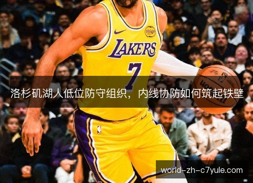 洛杉矶湖人低位防守组织，内线协防如何筑起铁壁